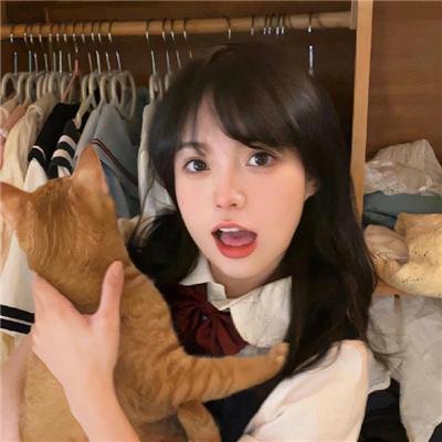 大狗民